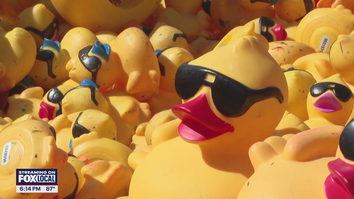 Incredible Duck Race raises money for Kiwanis Club